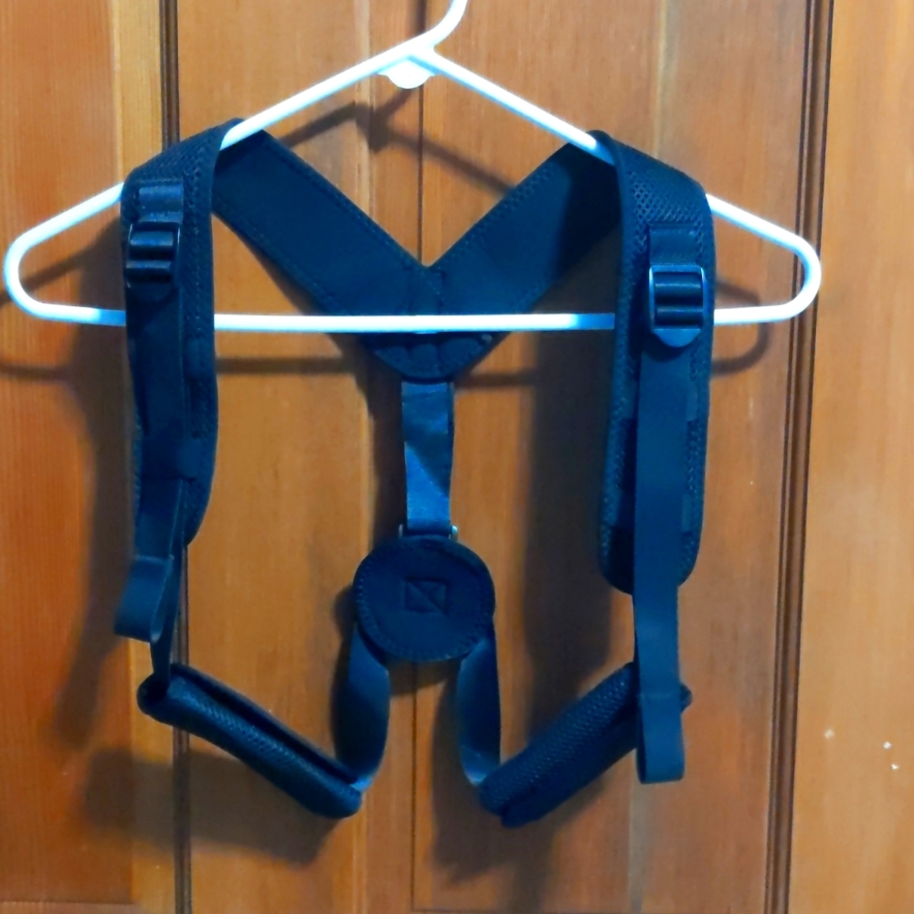 Posture corrector